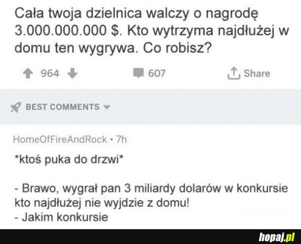 Cała twoja dzielnia