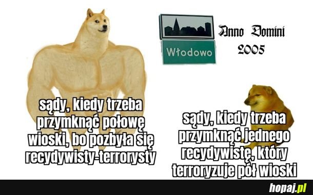 Sądy są niewyczerpywalnym memem 