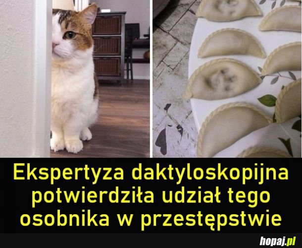 Młodociany przestępca