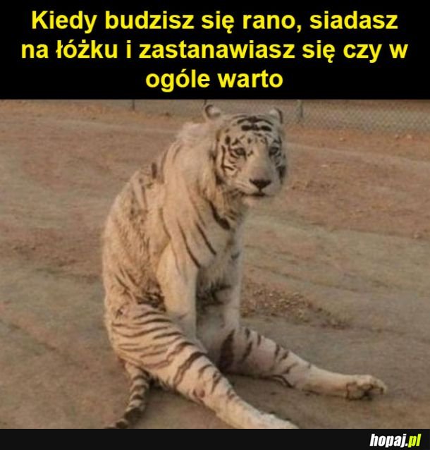 Każdego dnia