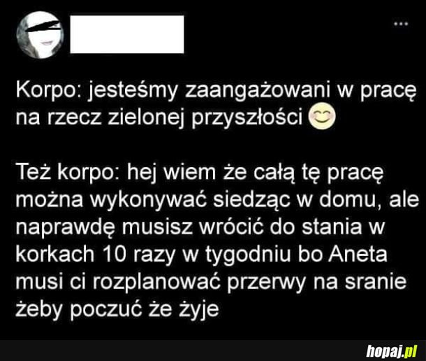 Praca zdalna nie dla polaka