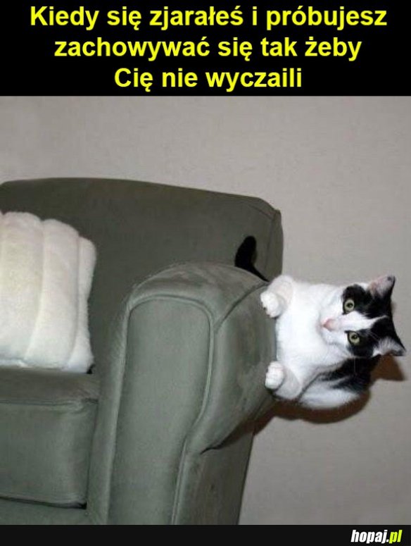 Bez przypału