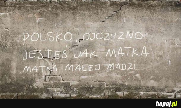 Polsko, ojczyzno