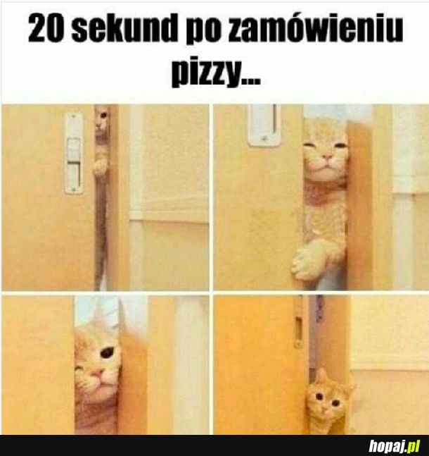 Po zamówieniu pizzy