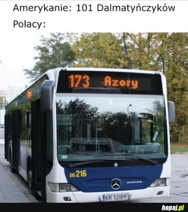 Polsza