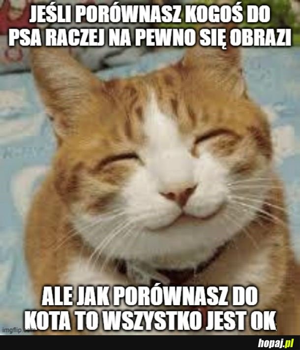 Zwierze się