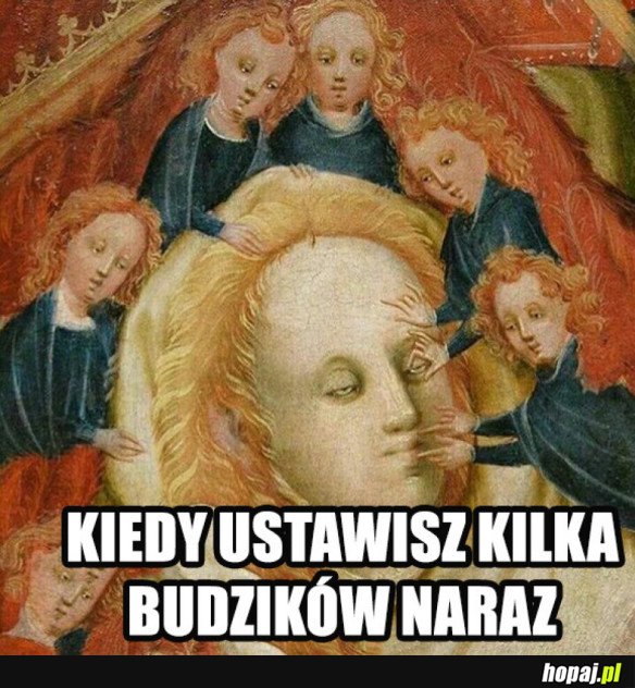 KILKA BUDZIKÓW