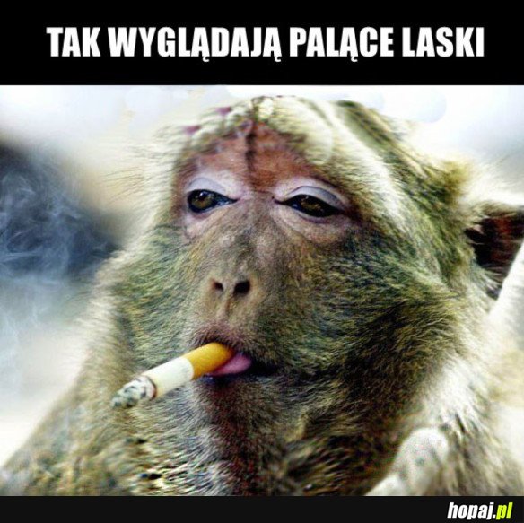 Palące laski