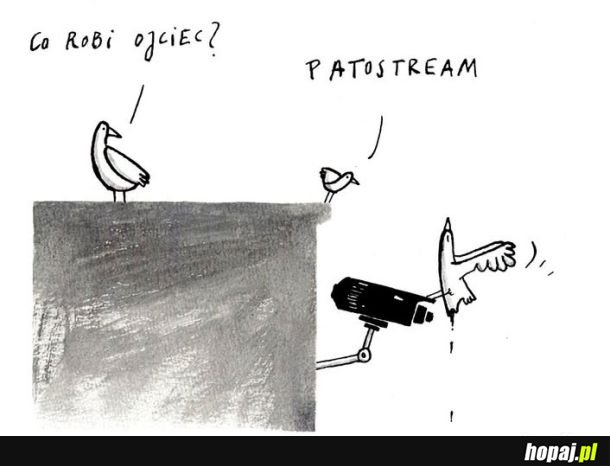 Patostream