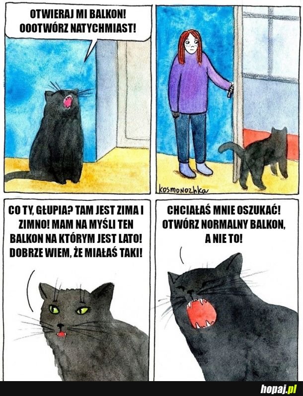 Ty głupi człowieku