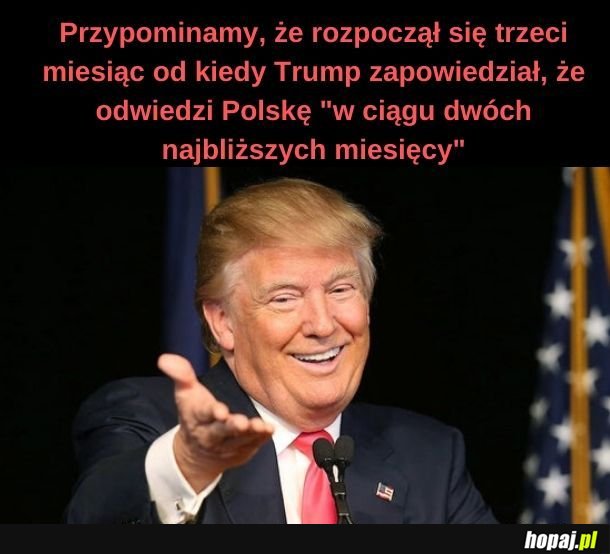 Trumpeł