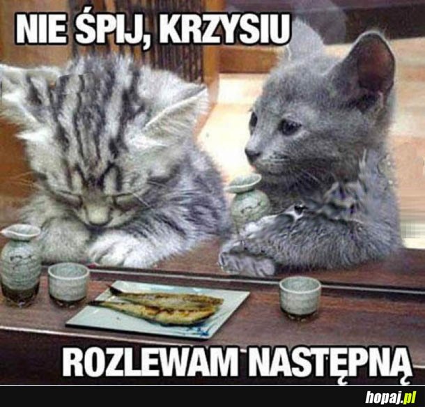 NIE ŚPIJ!