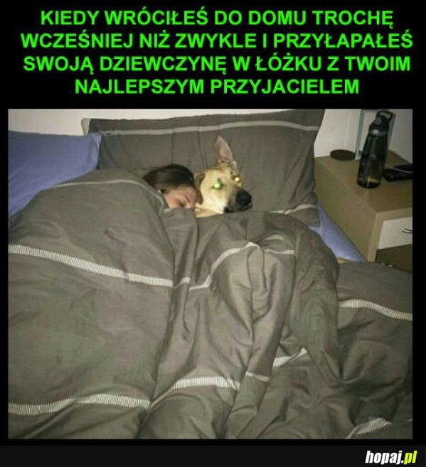 PRZYŁAPAŁ DZIEWCZYNĘ NA ZDRADZIE