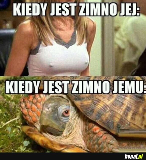 TO SĄ TE DETALE