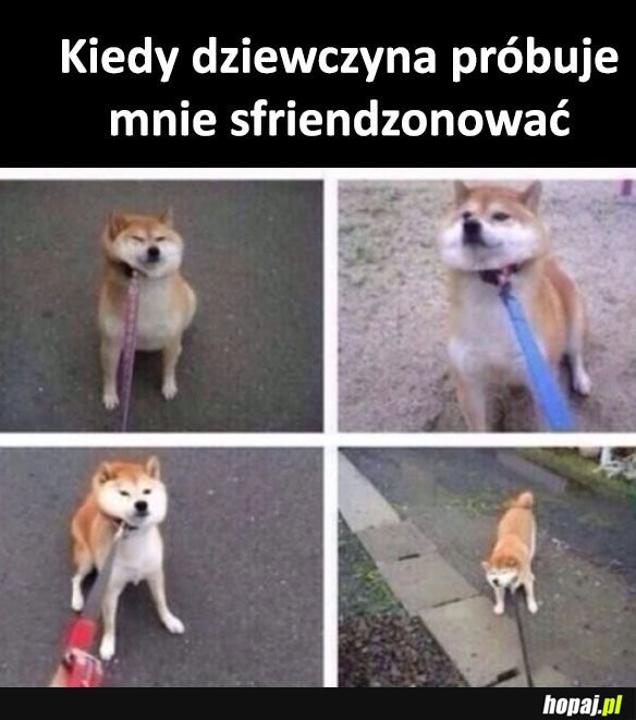 Nie dam się