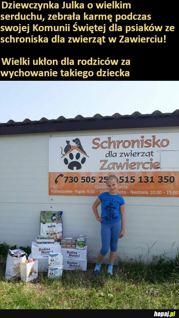 Dziewczynka o wielkim sercu