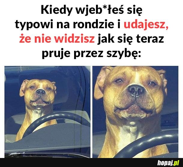 Ślepy jestem 