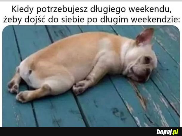 I nawet nie balowałeś