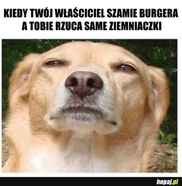 CO TO ZA ŚCIEMA...