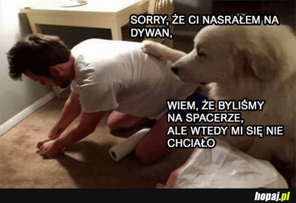  Sorry, że Ci nasrałem na dywan