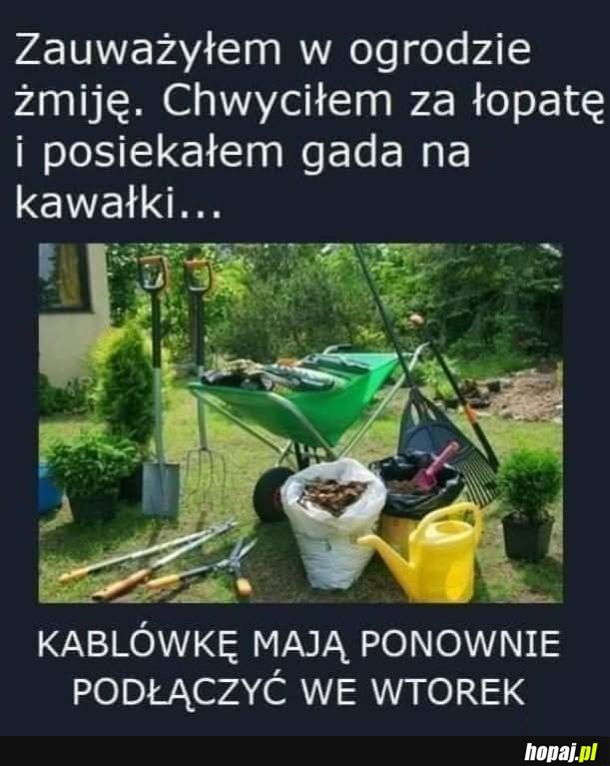 Ten to umie zrobić sobie na złość