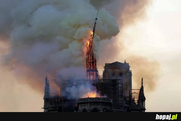 Pożar katedry Notre Dame 