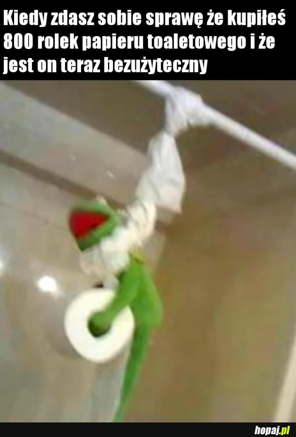 Kermit best pepe