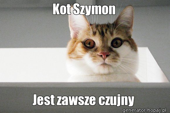 Kot Szymon