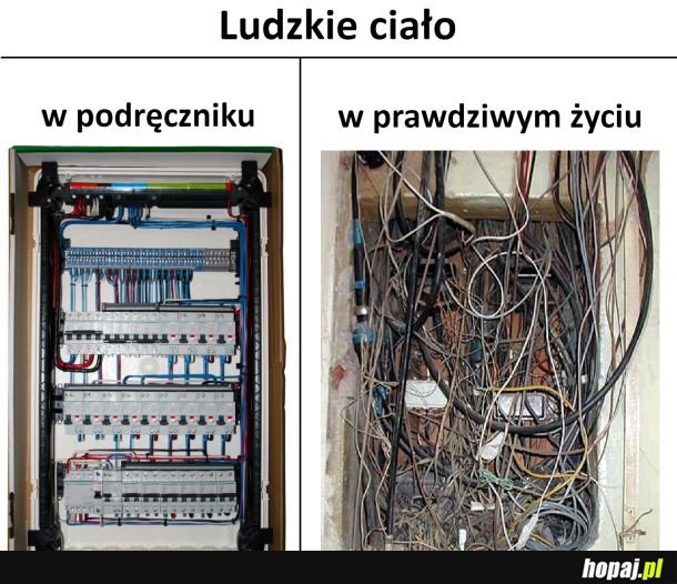 Ludzkie ciało