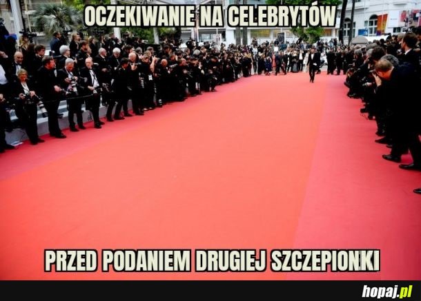 Laureaci złotego dzbana