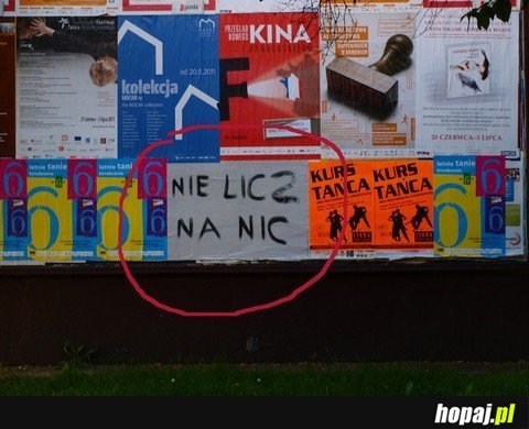 Nie licz na nic