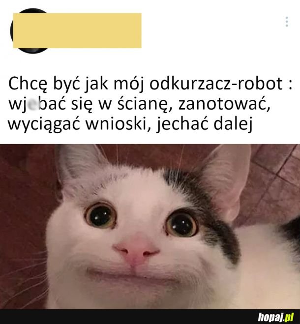 Chciałbym być jak moja roomba