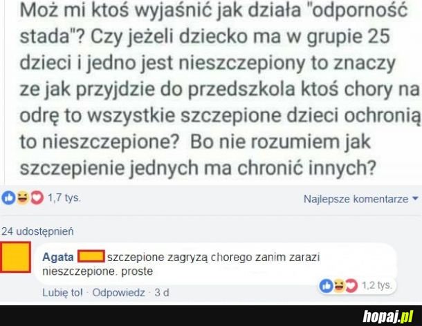 Odporność stada