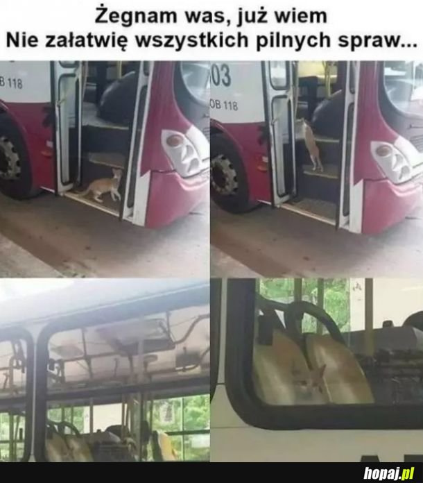 Żegnajcie