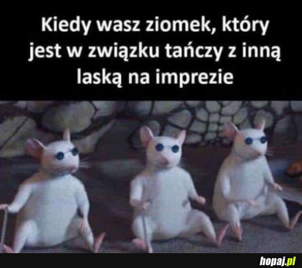 Tacy przyjaciele to skarb