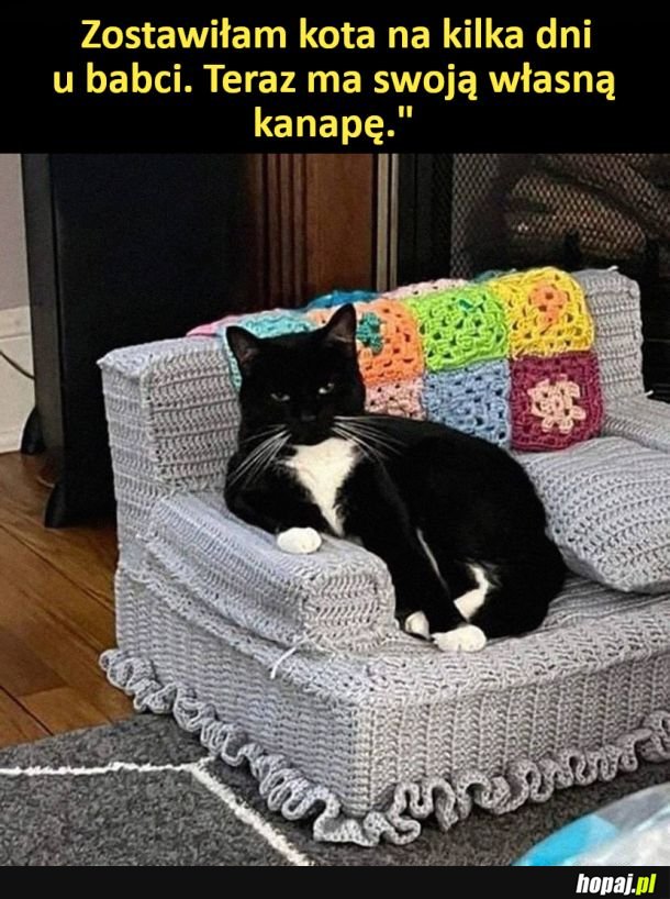 Wygląda na chyba zadowolonego