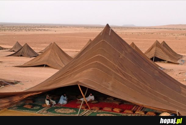Namiot Beduinów. Shit's fancy.