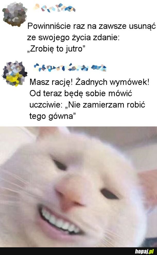 Uczciwie