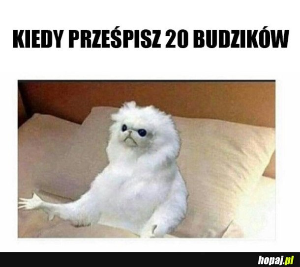 ZNOWU ZASPAŁAM NA UCZELNIĘ