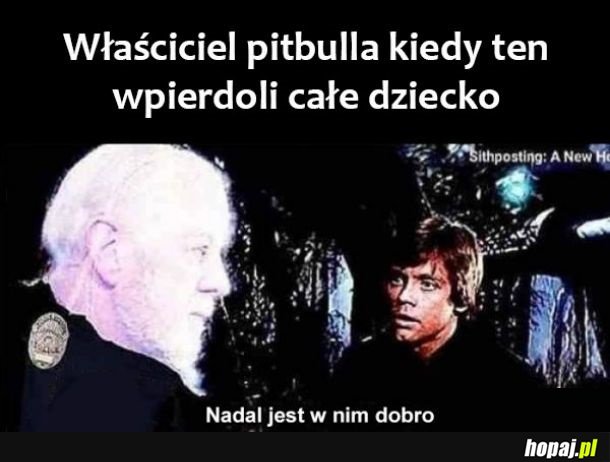 Właściciel pitbulla