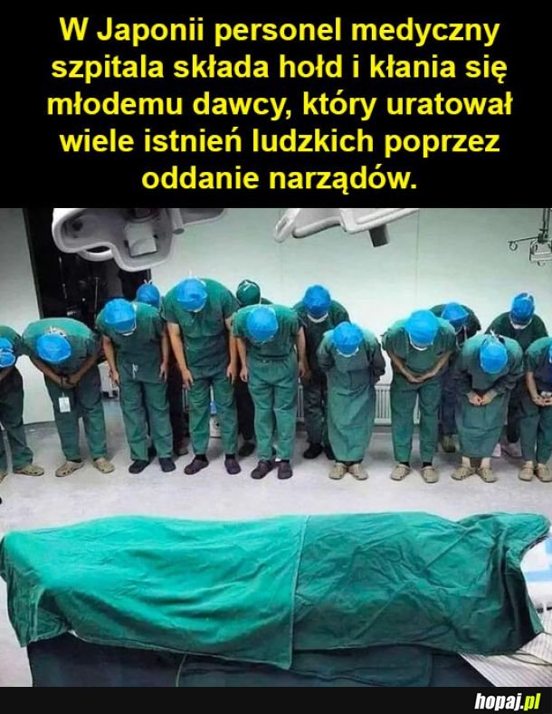 Prawdziwy bohater