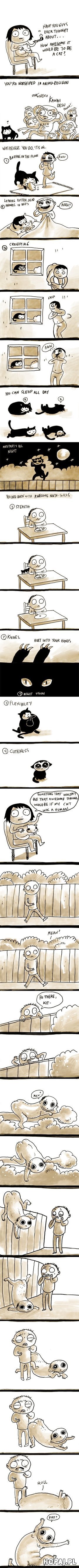 Jak cudownie byłoby być kotem