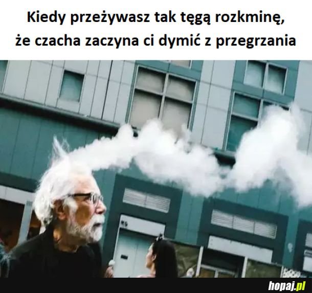 Co tam się musi dziać...