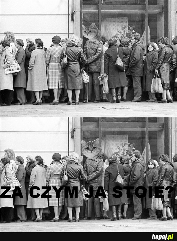 Za czym ja stoie?