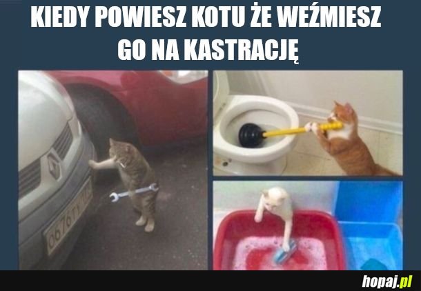 Nagle taki grzeczny