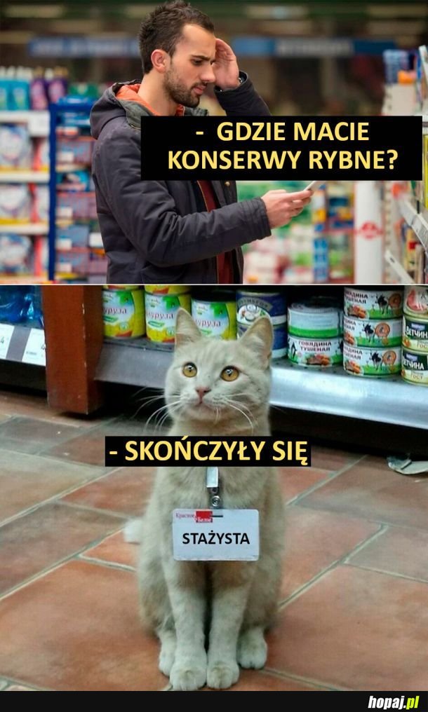 Stażysta