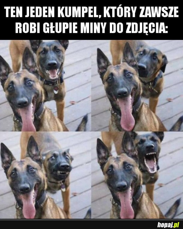 TEN JEDEN KUMPEL