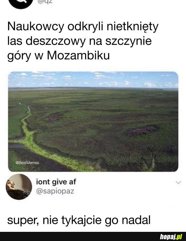 Nietknięty las deszczowy