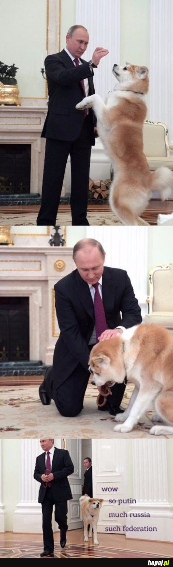 WOW PUTIN SO MUCH WOW