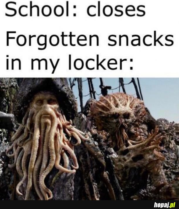 Krosek kontent